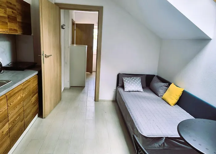 -wieniawskiego133 Self Check-in *